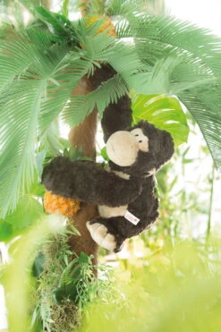 Nici 41697 Gorilla Torben Sitzend Ca 30cm Mit Trommelbrust Plüsch In Geschenkbox -Nici Store 41697 03 Millieu 1365x2048