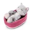 Nici 47144 Sleeping Kitties Schlafende Katze Im Körbchen 16cm Plüsch Grau -Nici Store 47144 01 HA Frei 2048x1752