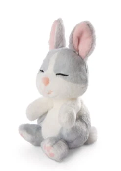 Nici 48706 Sleeping Pets Bunnies Hase Grau 12cm Schlafend Im Körbchen Grün -Nici Store 48706 04 ZA Frei 1451x2048