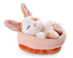 Nici 48707 Sleeping Pets Bunnies Hase Karamell Punkte 12cm Schlafend Im Körbchen -Nici Store 48707 02 ZA Frei 2048x1626