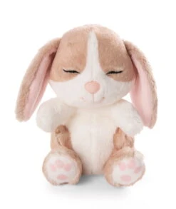 Nici 48709 Sleeping Pets Bunnies Hase Cappuccino 12cm Schlafend Im Körbchen Grün -Nici Store 48709 04 ZA Frei 1726x2048