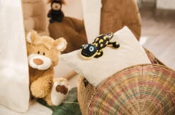 Nici 48780 Salamander Don Fuego Ca 25cm Plüsch Kuscheltier GREEN Classic Bear -Nici Store 48775 14 48782 Milieu 2048x1342