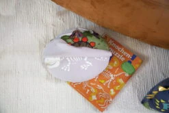 Nici 48820 Kissen Dinosaurier Fossily Wendeplüsch Glow In The Dark 32x26cm GREEN -Nici Store 48820 14 Milieu 2048x1365