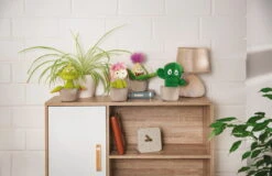 Nici 48942 Sedum Pflanze Amalia 18cm Plüschfigur Kuscheltier GREEN Funny Flowers 15 Nici 48942 Sedum Pflanze Amalia 18cm Plüschfigur Kuscheltier GREEN Funny Flowers -Nici Store 48941 11 Milieu 48942 48943 48944 Milieu me 1