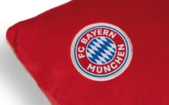 Nici 49080 Kissen FC BAYERN MÜNCHEN Bär Berni 43x25cm Plüsch FCB Dekokissen -Nici Store 49080 04 ZA weiss 792x492